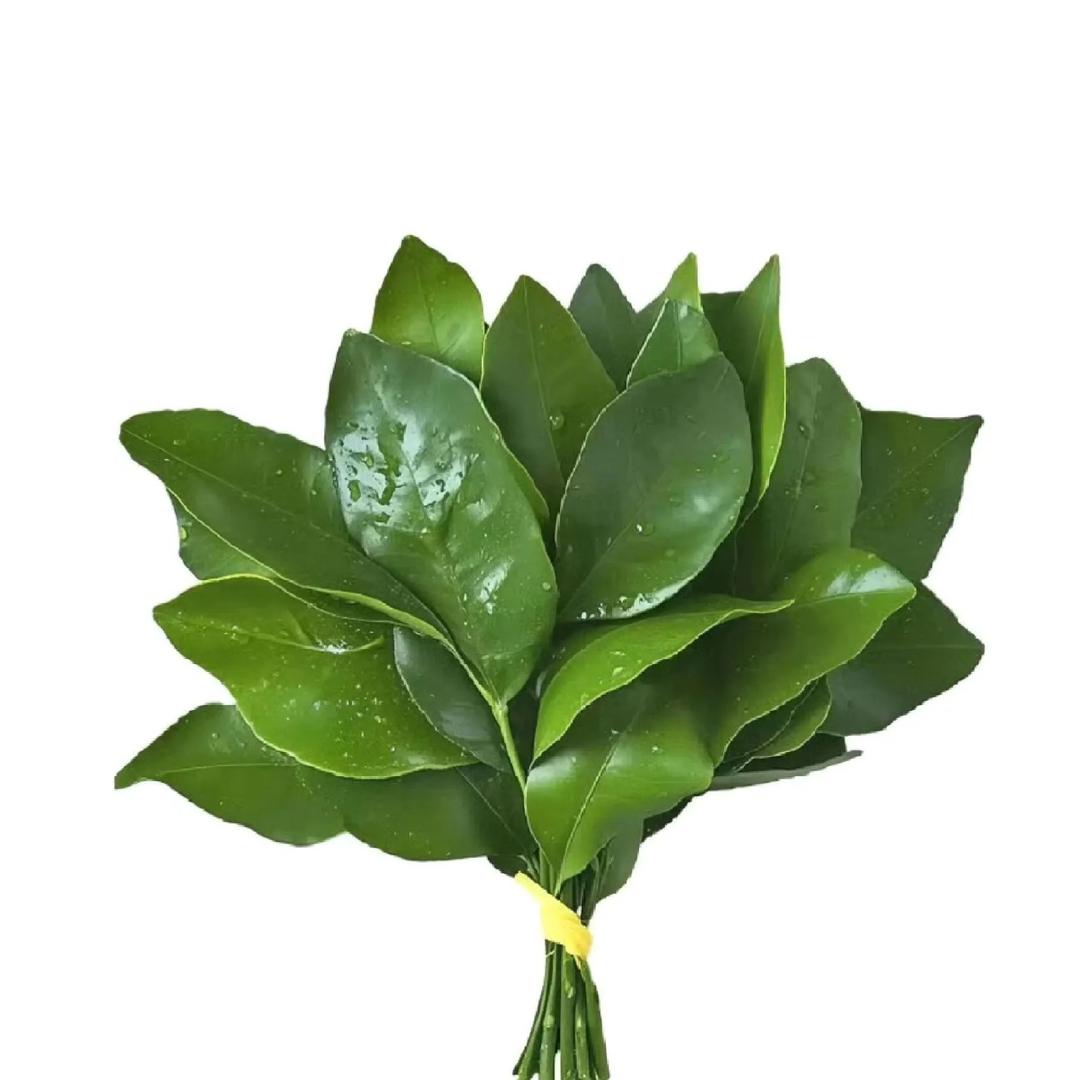@yy