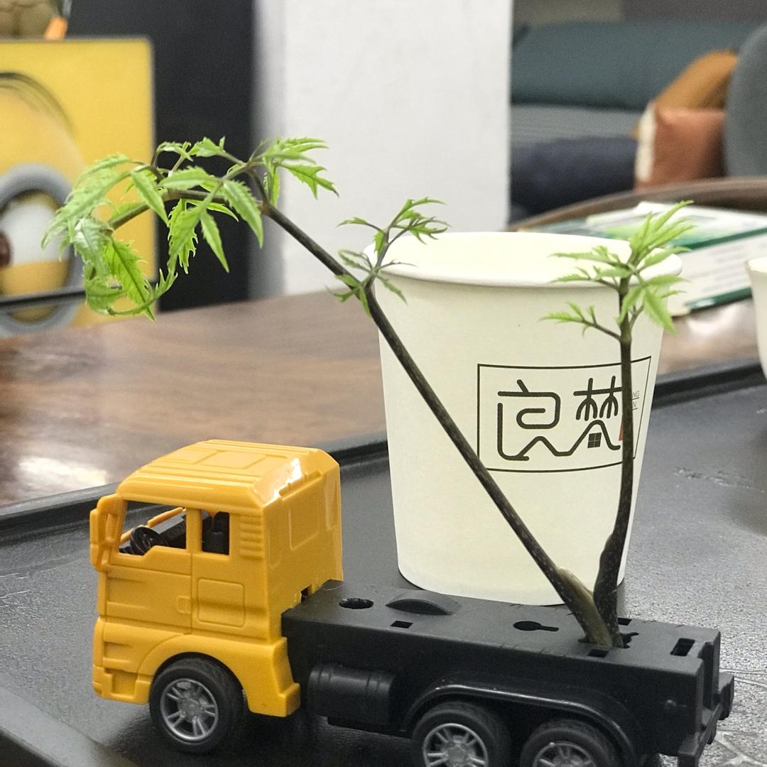 良梵家具  -  游sir