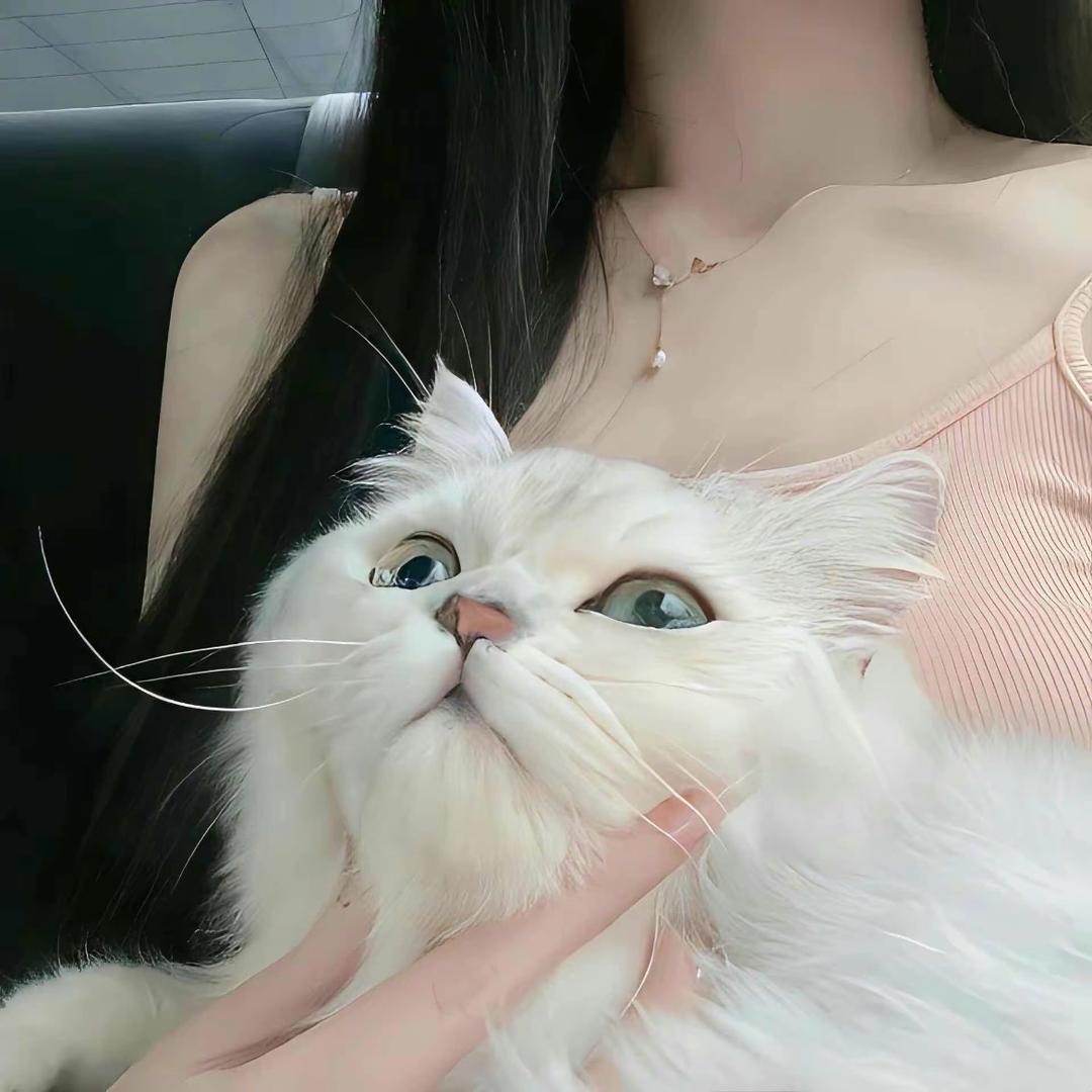 是L也是7