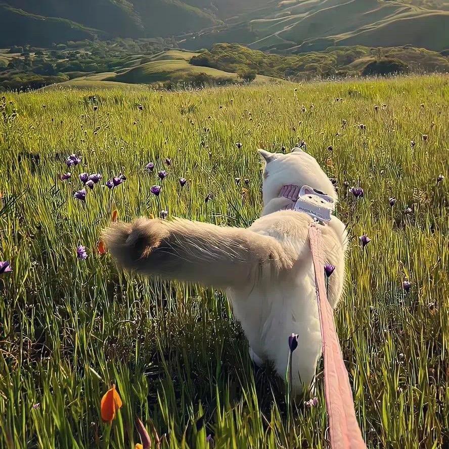 陈天睡大觉🇨🇳