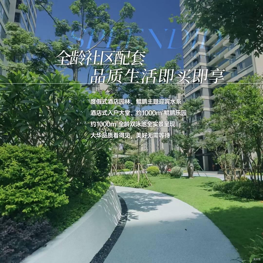 海南娜娜探房