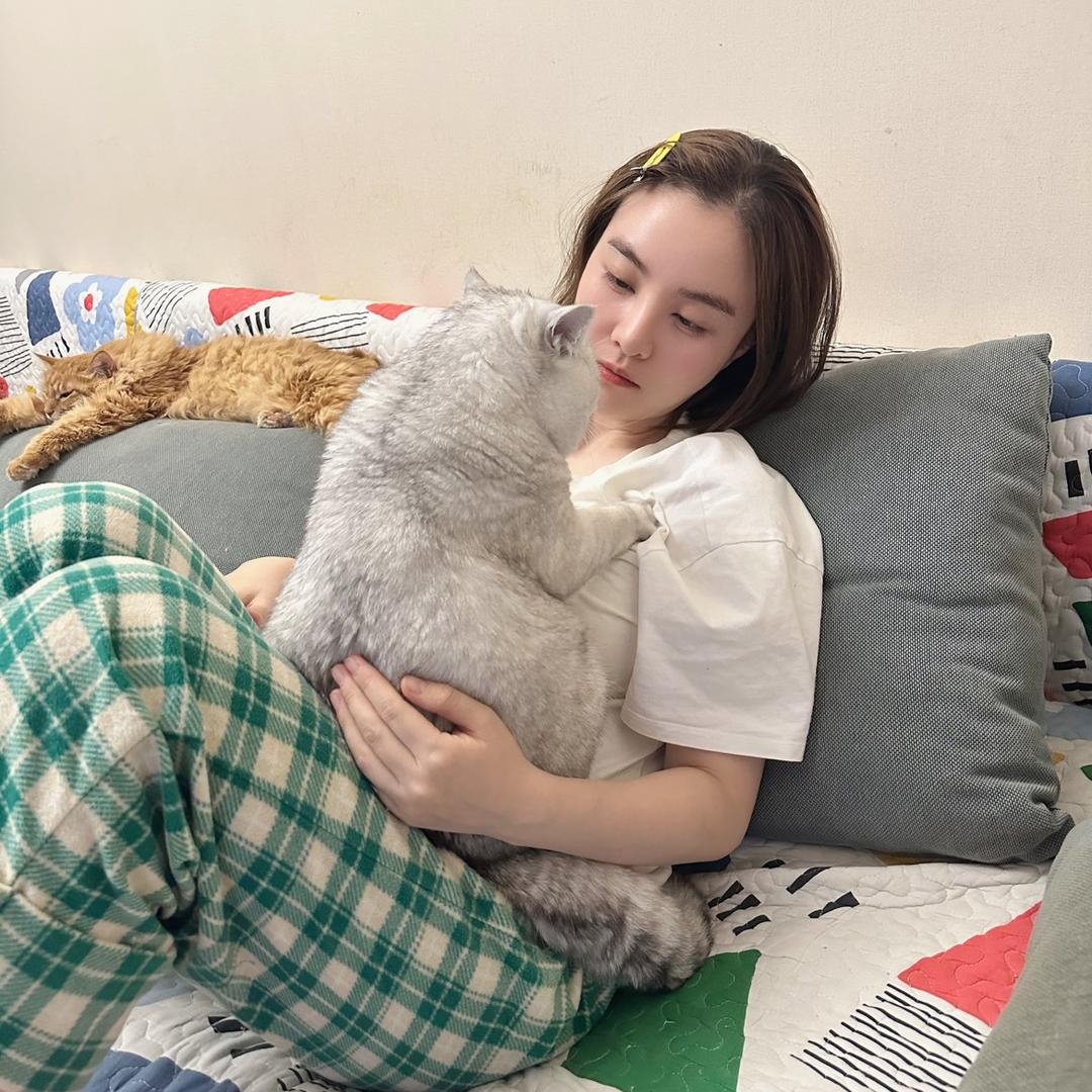 猪喵🐱刘百万