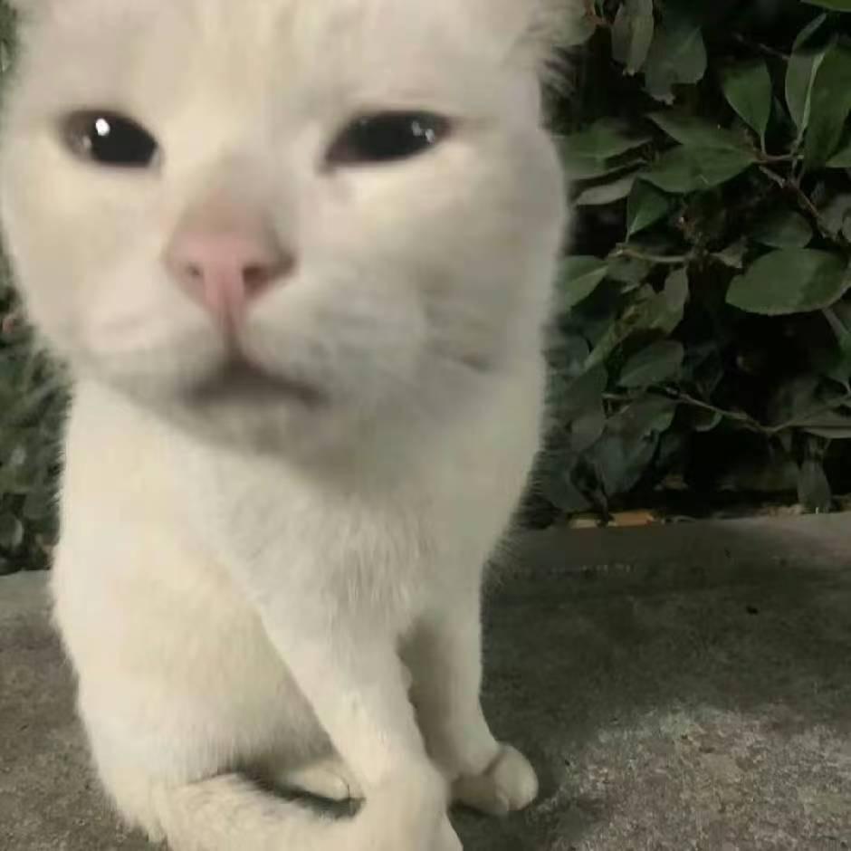 超级小白爱拆卡
