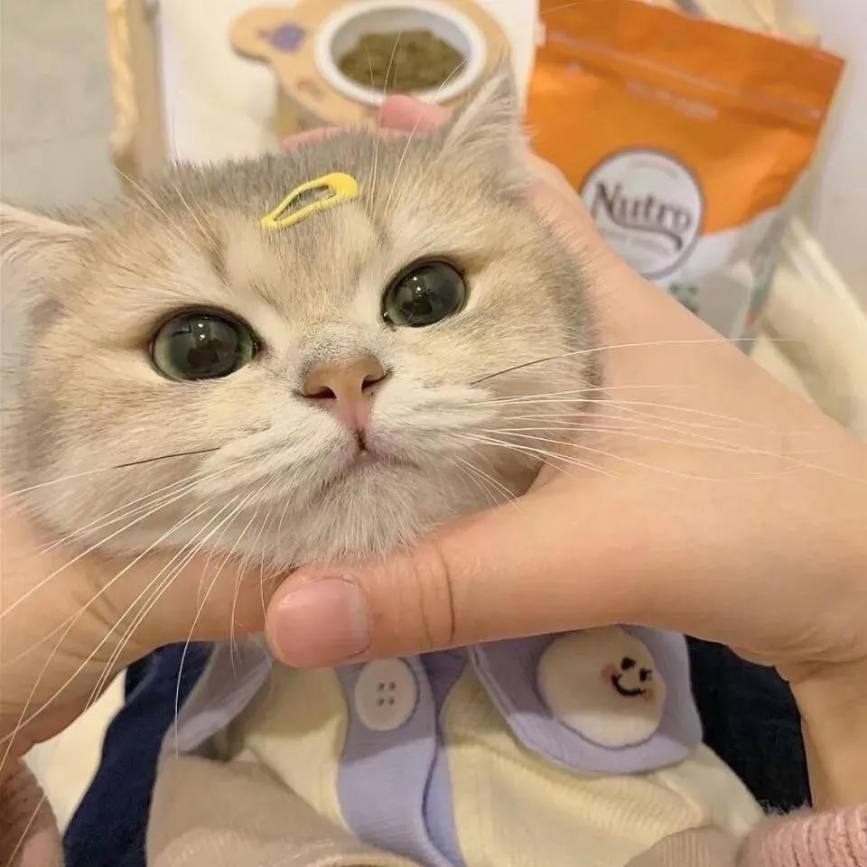 晚安-╲