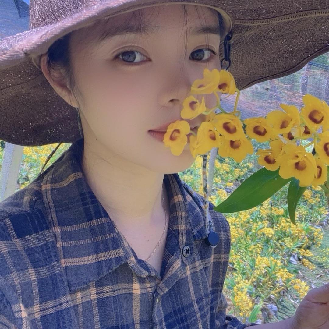 小慈的花语（石斛）