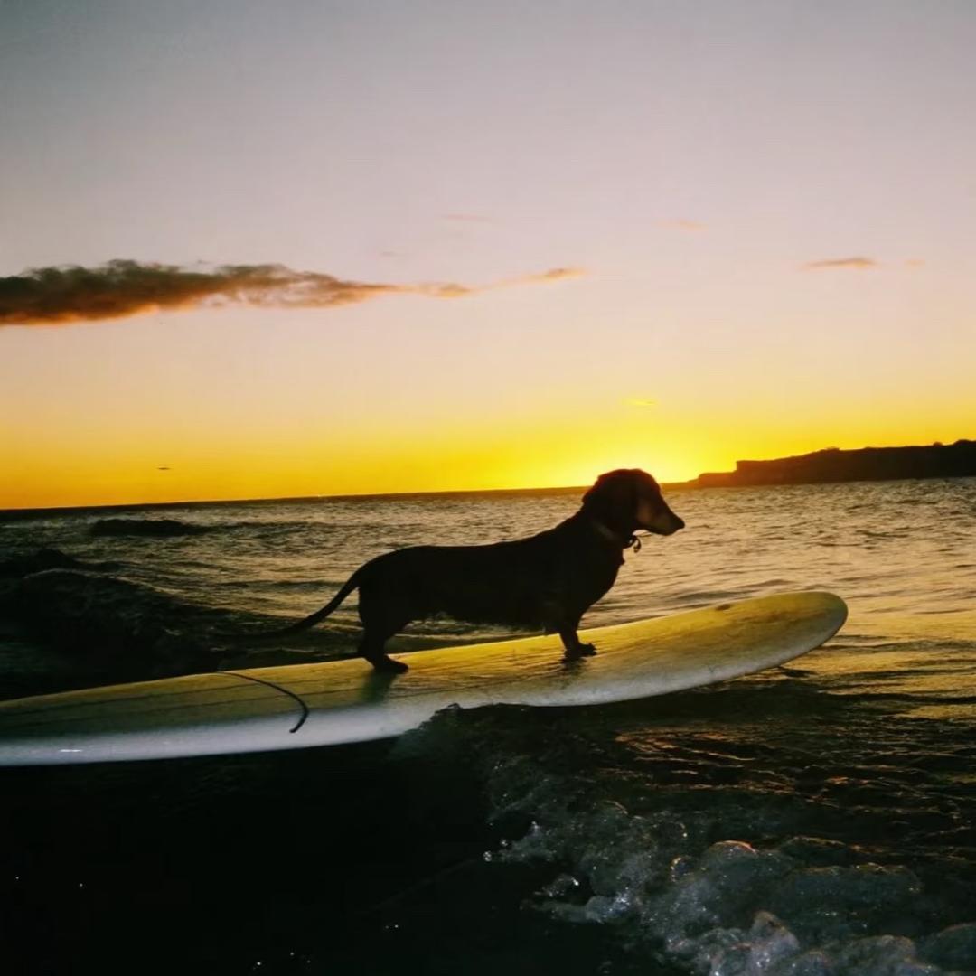 不瘦到85不改名字