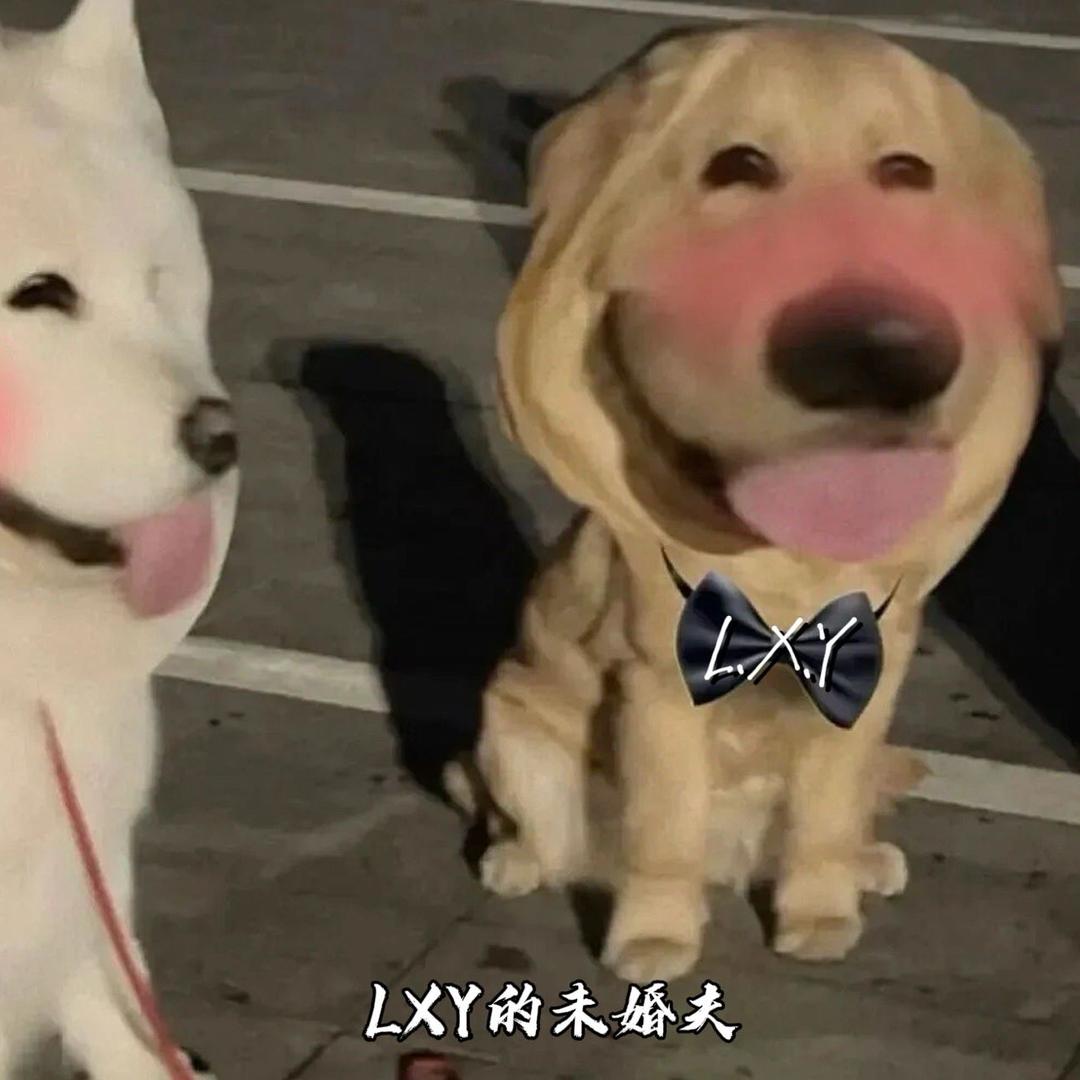 不嘻嘻～