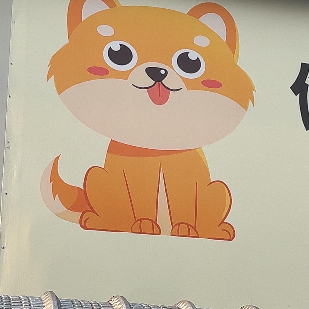 顾平宠物生活馆