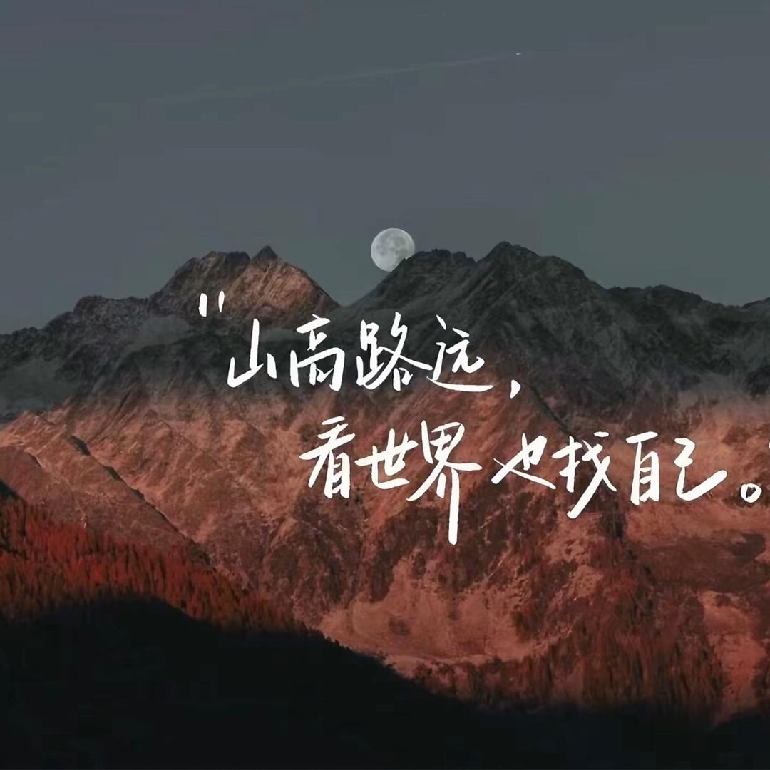 晓蛾