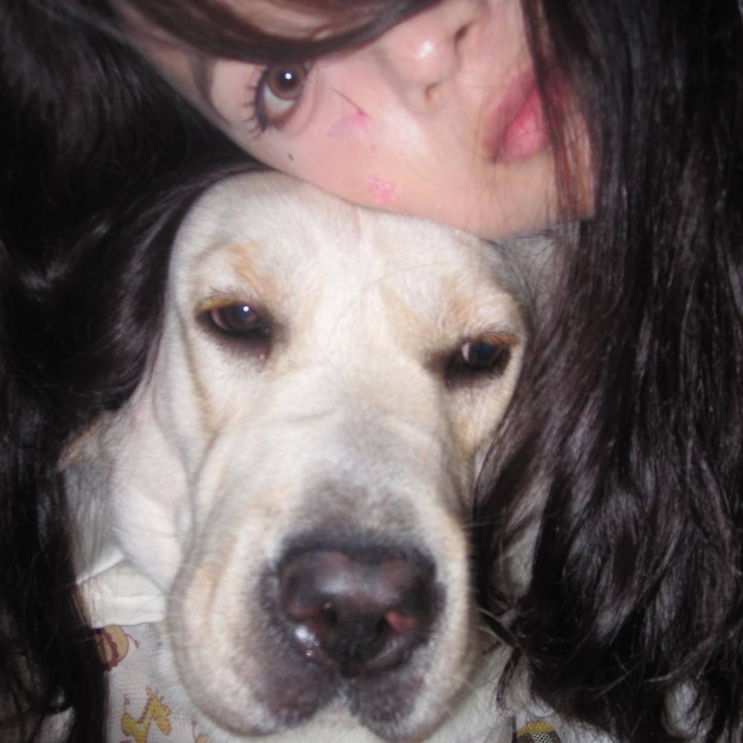 薯条是只拉布拉多