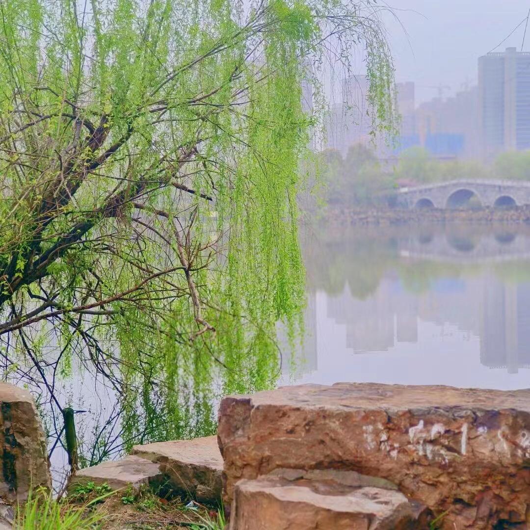 德赢天下
