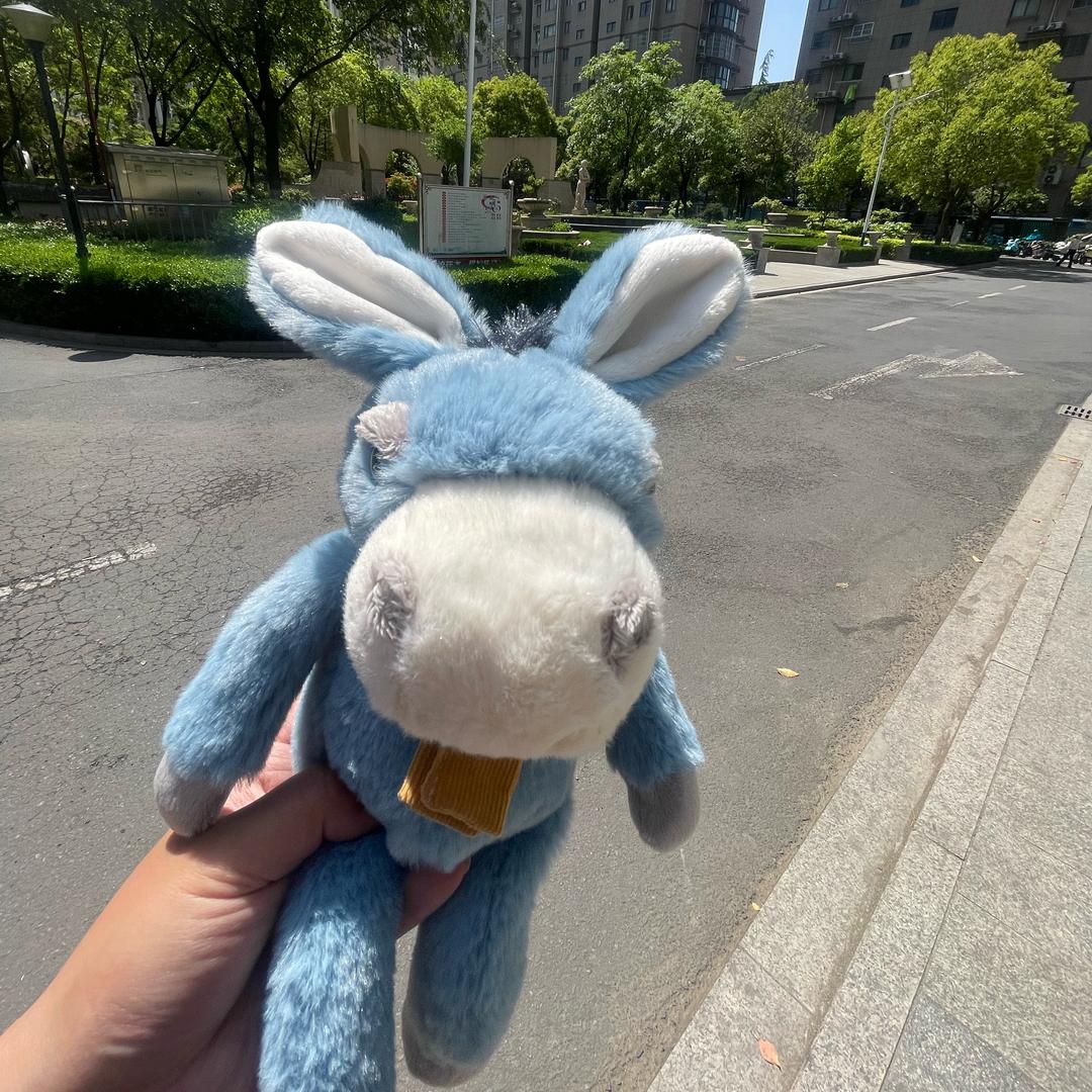 不如自挂东南枝