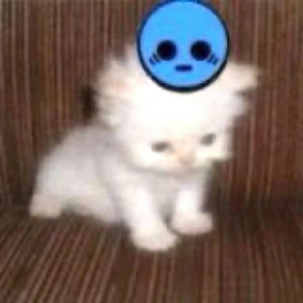 撒个欢儿_