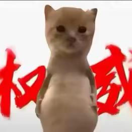 老张