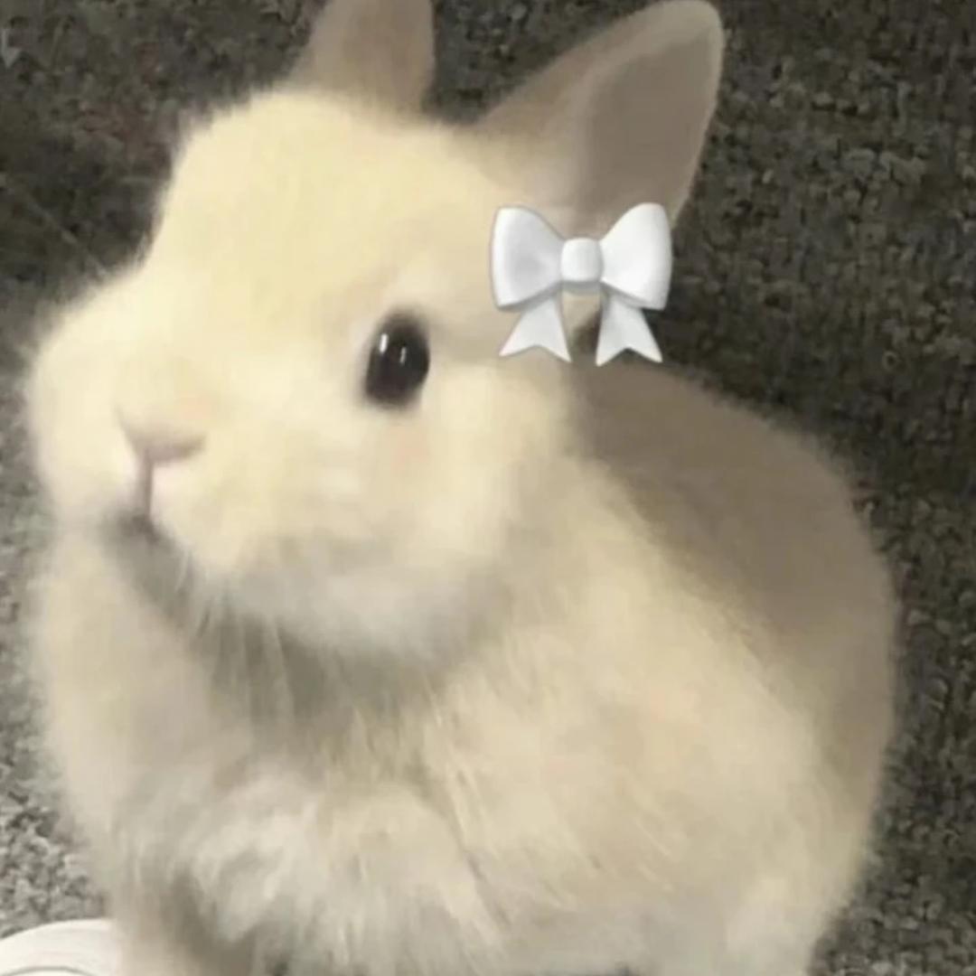 小年₌>ᴗ<₌