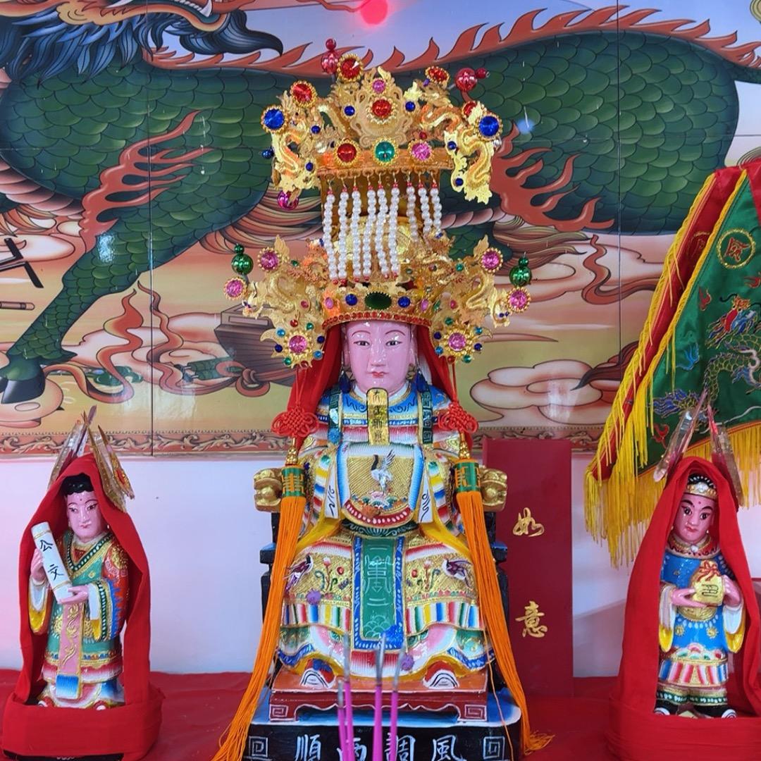 大红袍小号