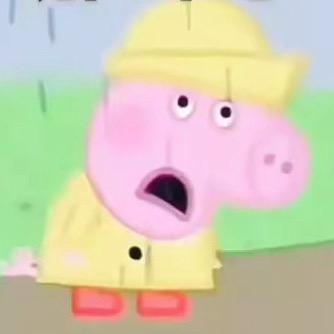 呼呼酱