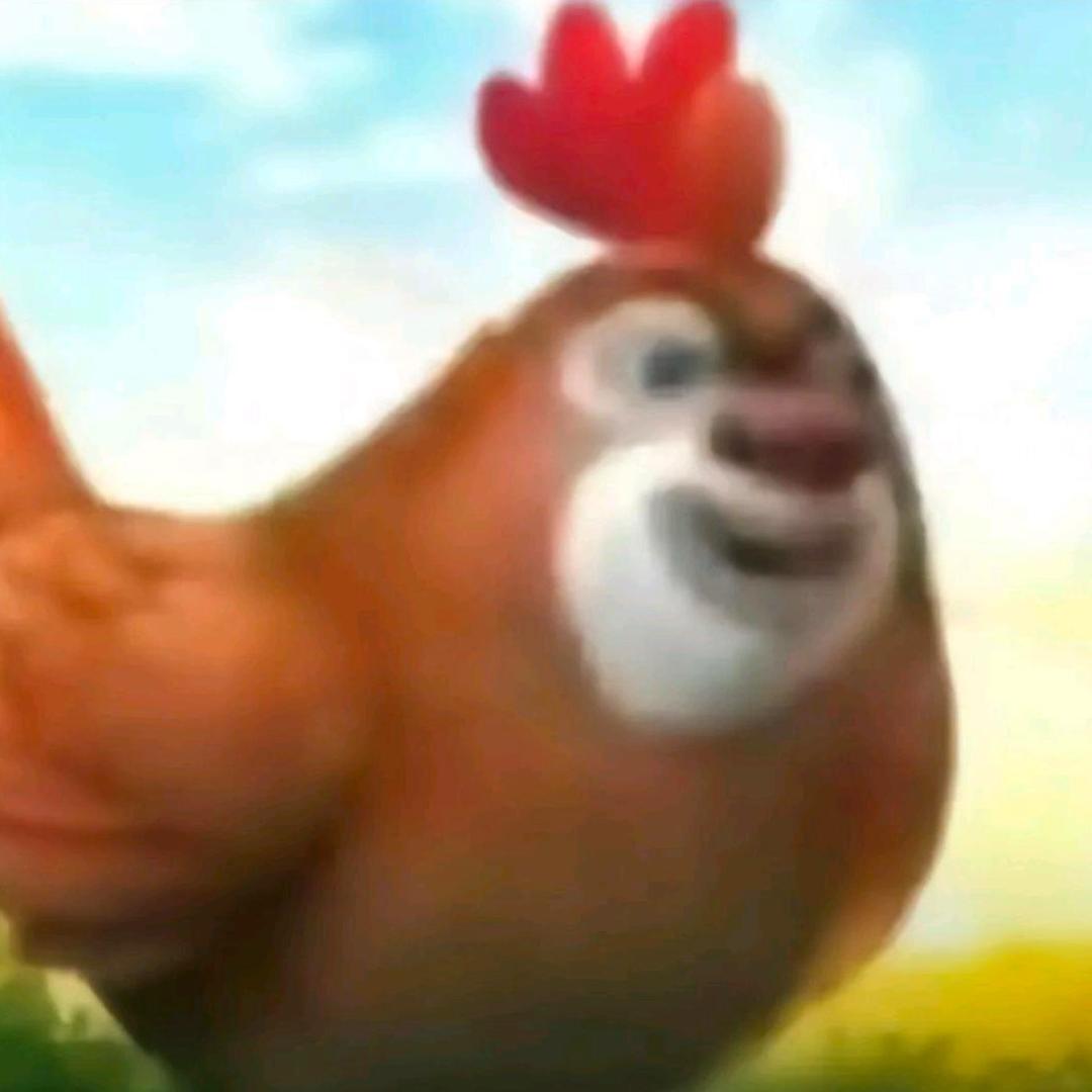 熊大哥