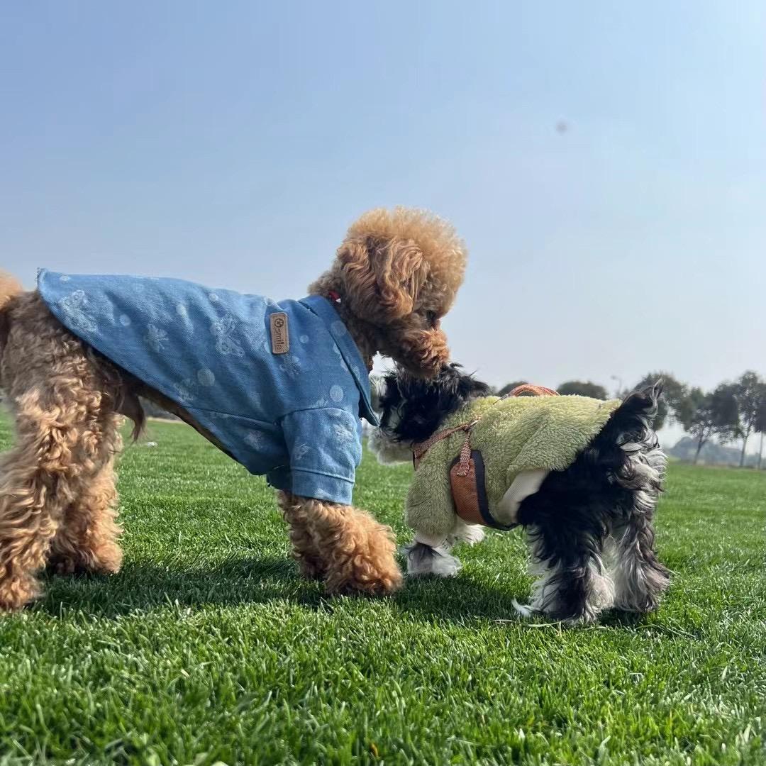 小温小温，梦想成真