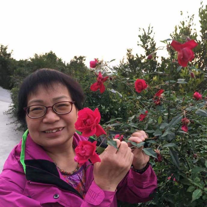 芬姐