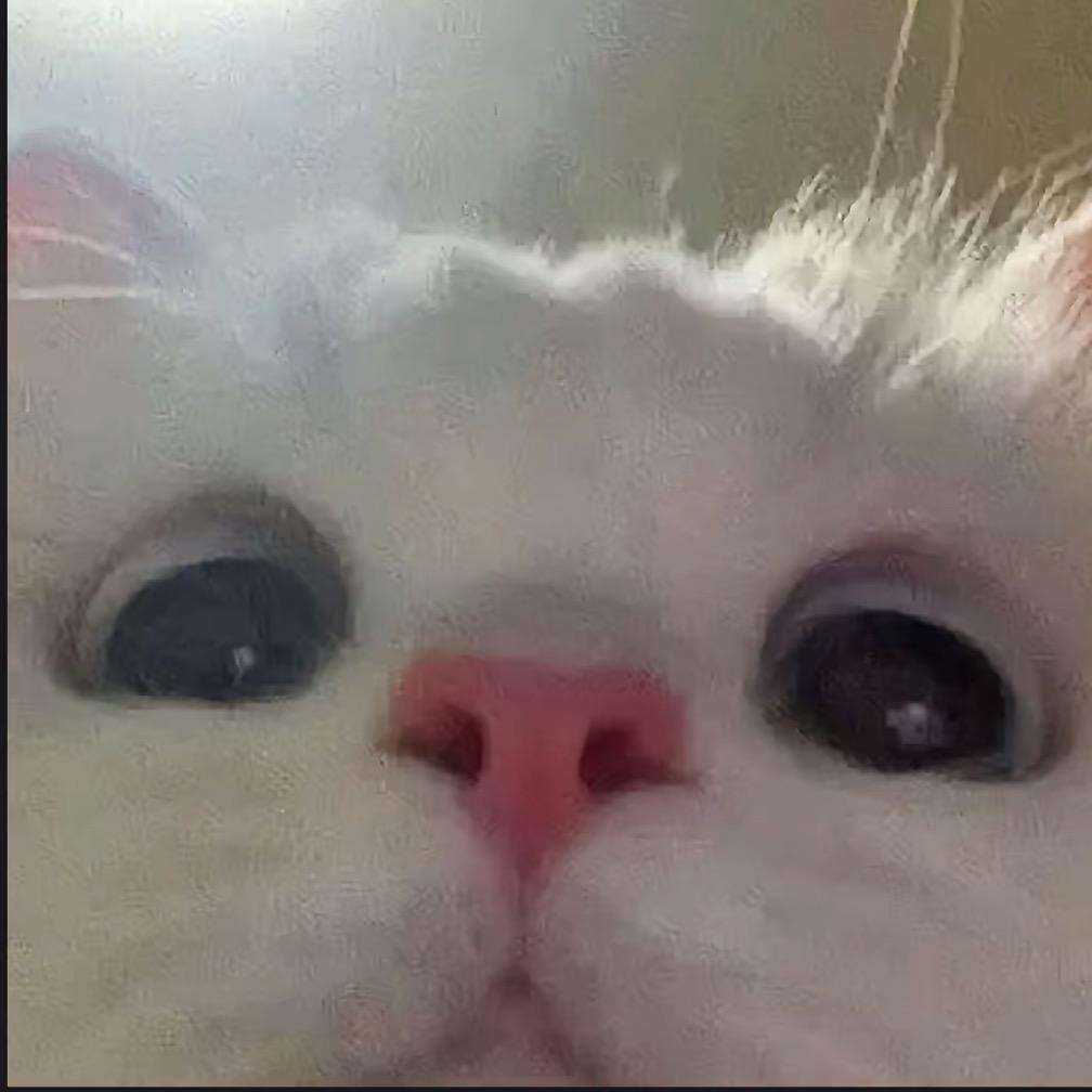 小红红红红红（冲刺80kg版）