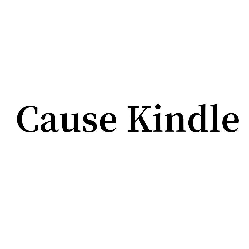 CAUSE KINDLE内衣旗舰店