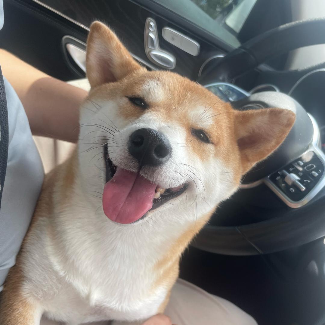 菡