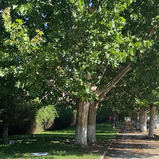 ༄ᐝ顺风ઈ顺水໊ഒᩚ*࿐