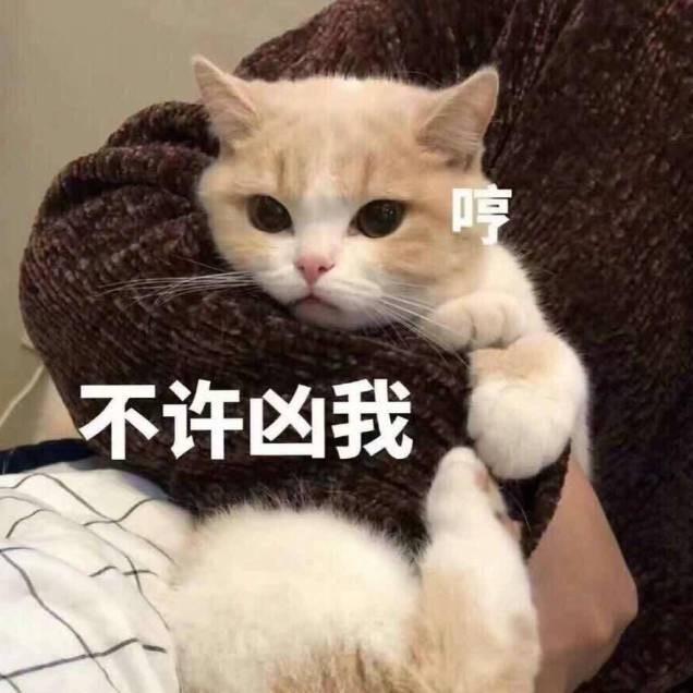 可可