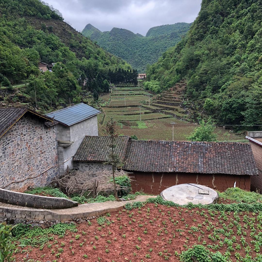 米粒力量