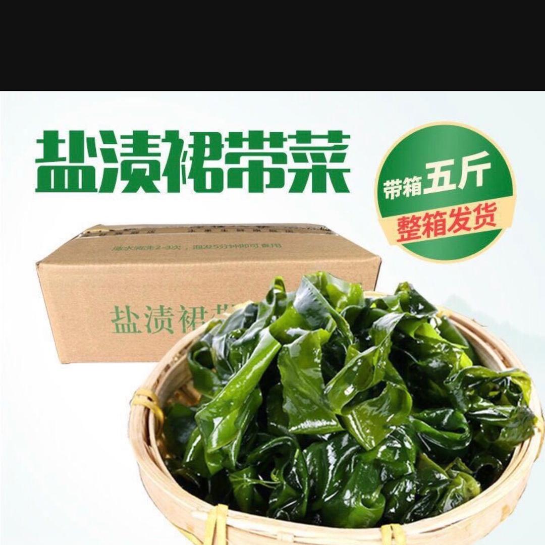 海藻海产供应商