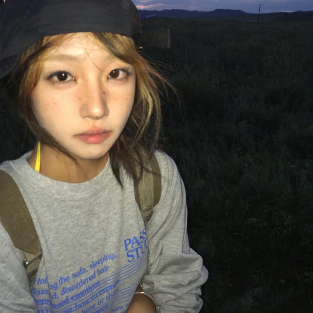 梅子酱