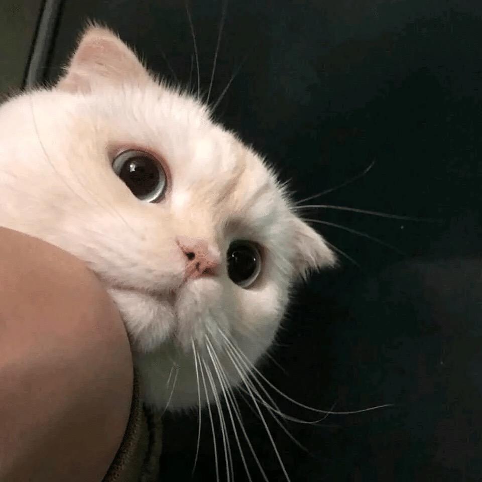 渊 接🥣(点🥚私）