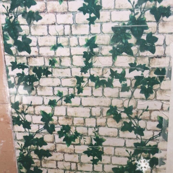 此抖音帐号不再使用！