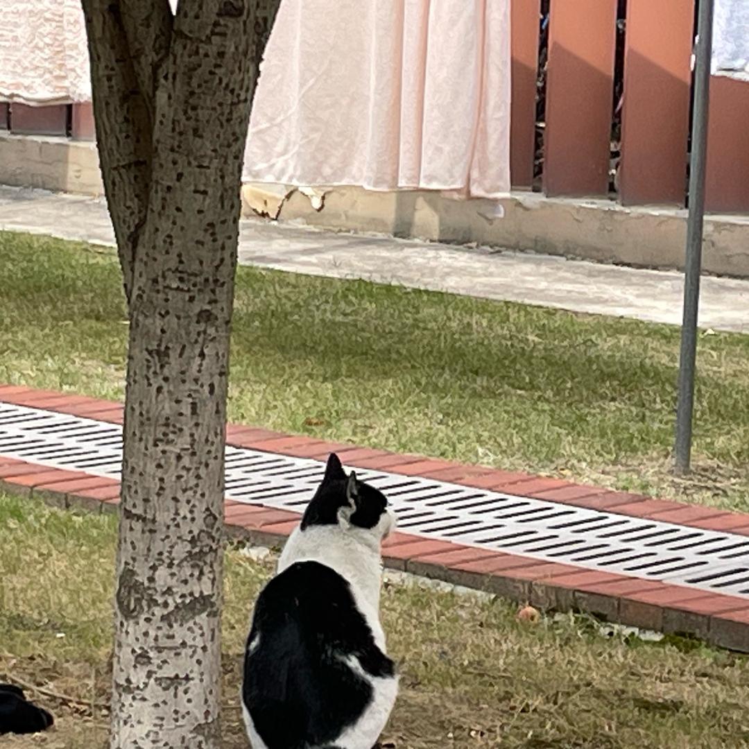 哈哈哈哈哈哈哈