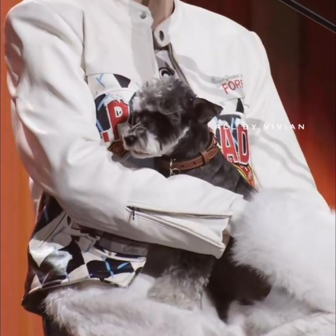 杨杨🙈🙈ᴬᴬ🍍