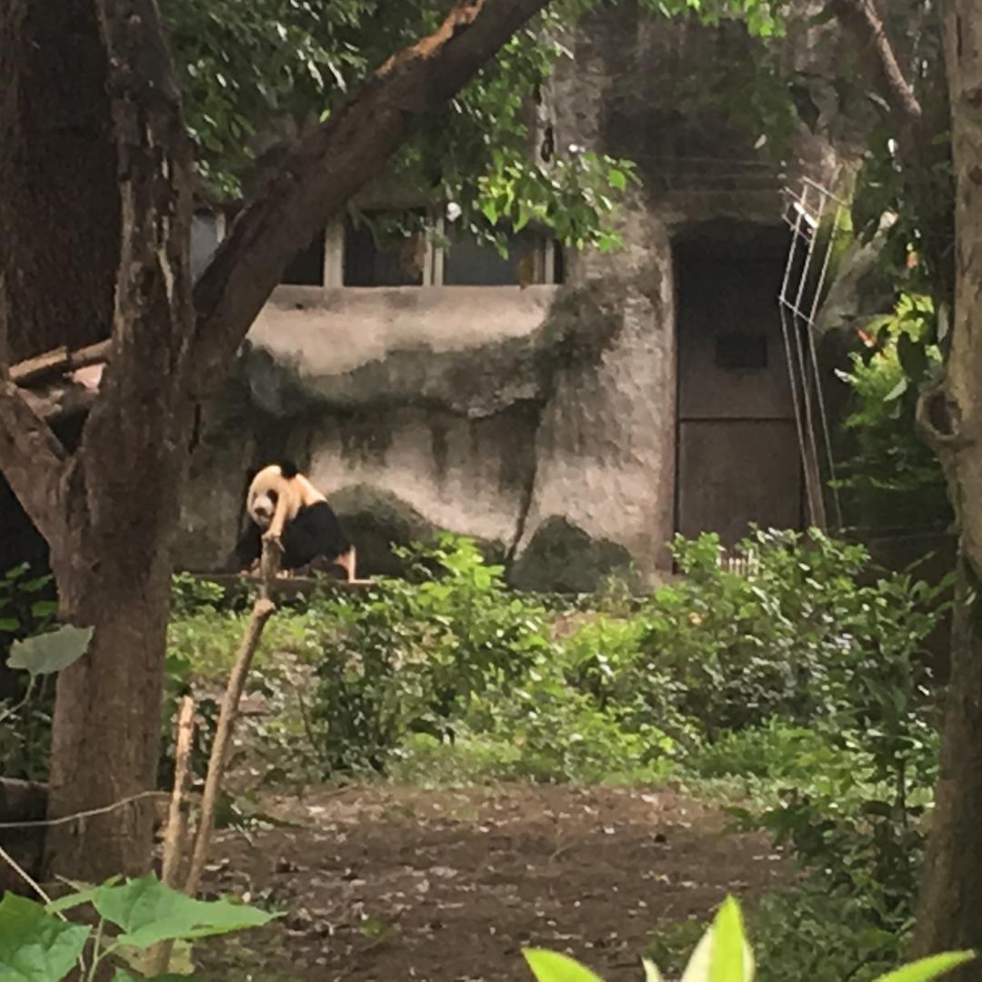 伊浪鞋类旗舰店