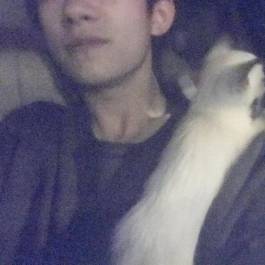 秋葵豆汁