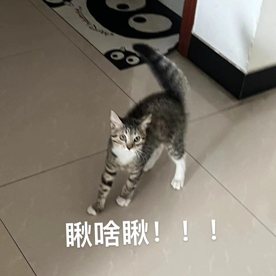 辣条是辣条