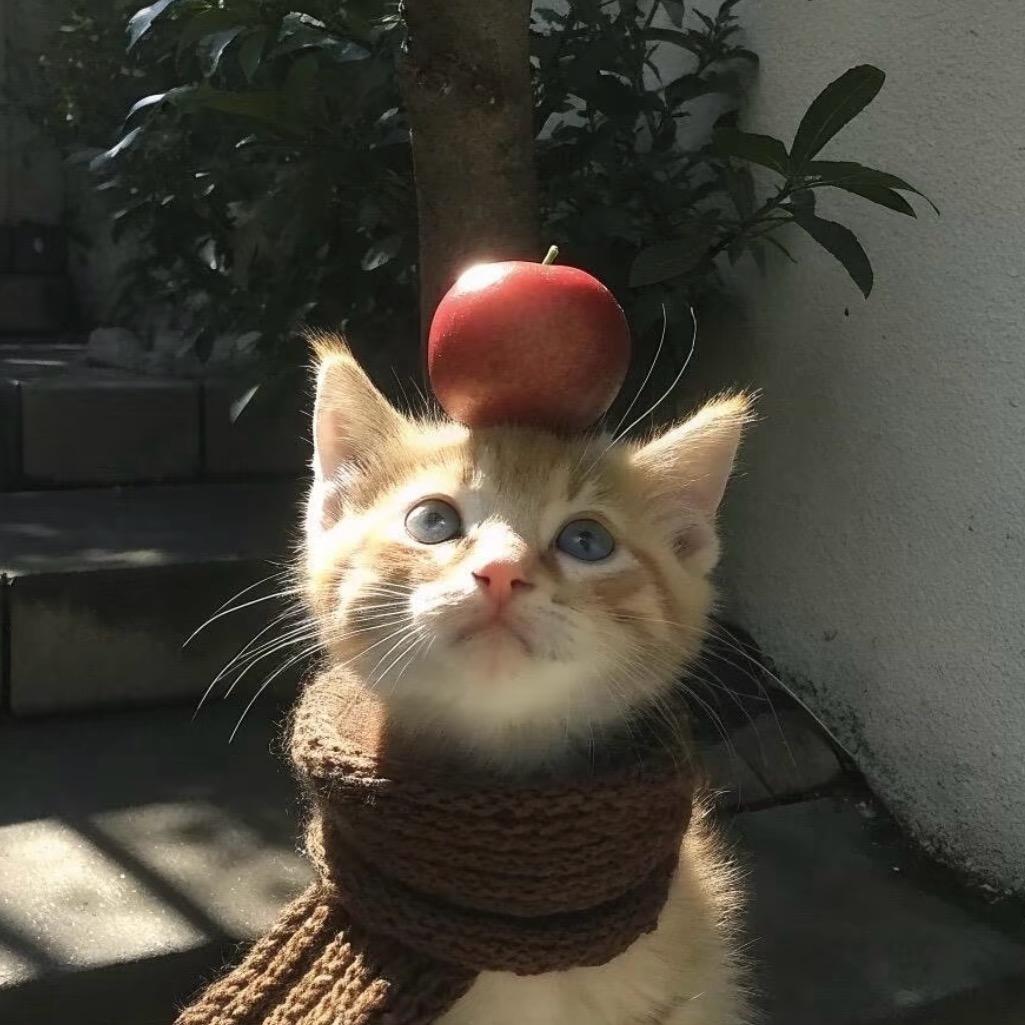 大吃一口咸奶盖🥣