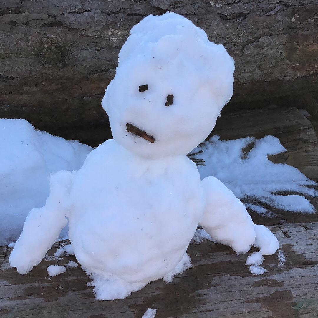 老实人（兼职做丫）