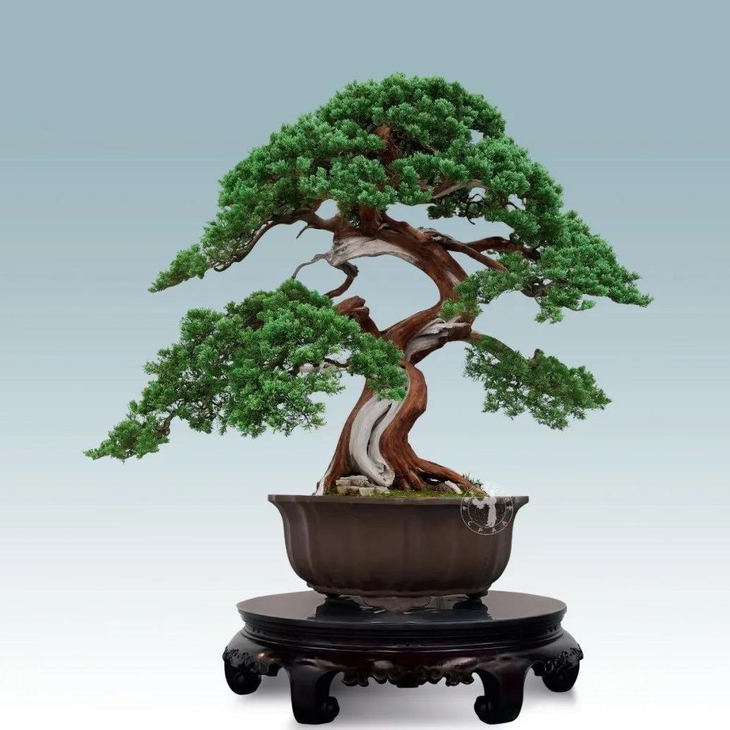 宜良森都苗圃～森都