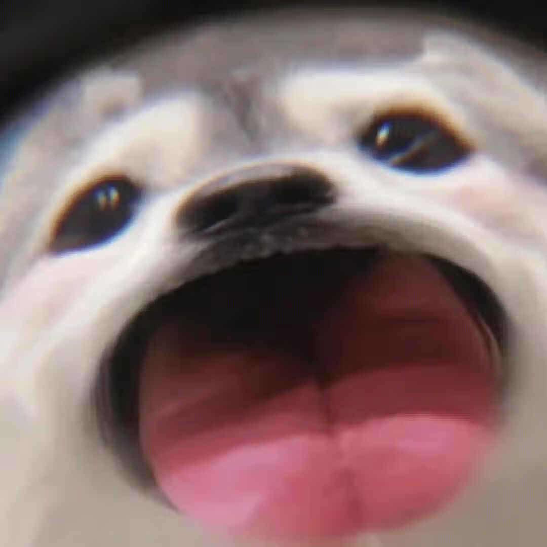 电商执照