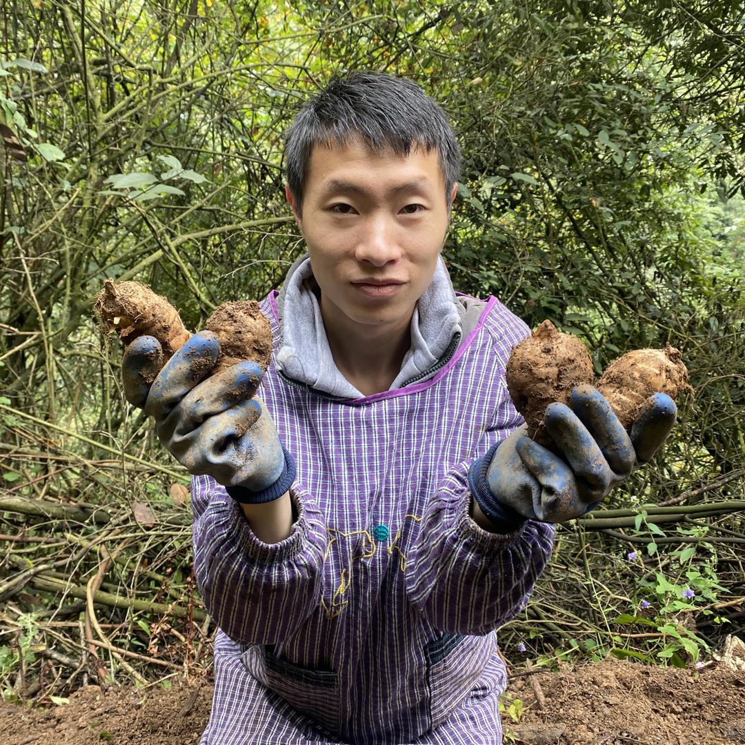 陈三农产品(小草坝乌天麻)