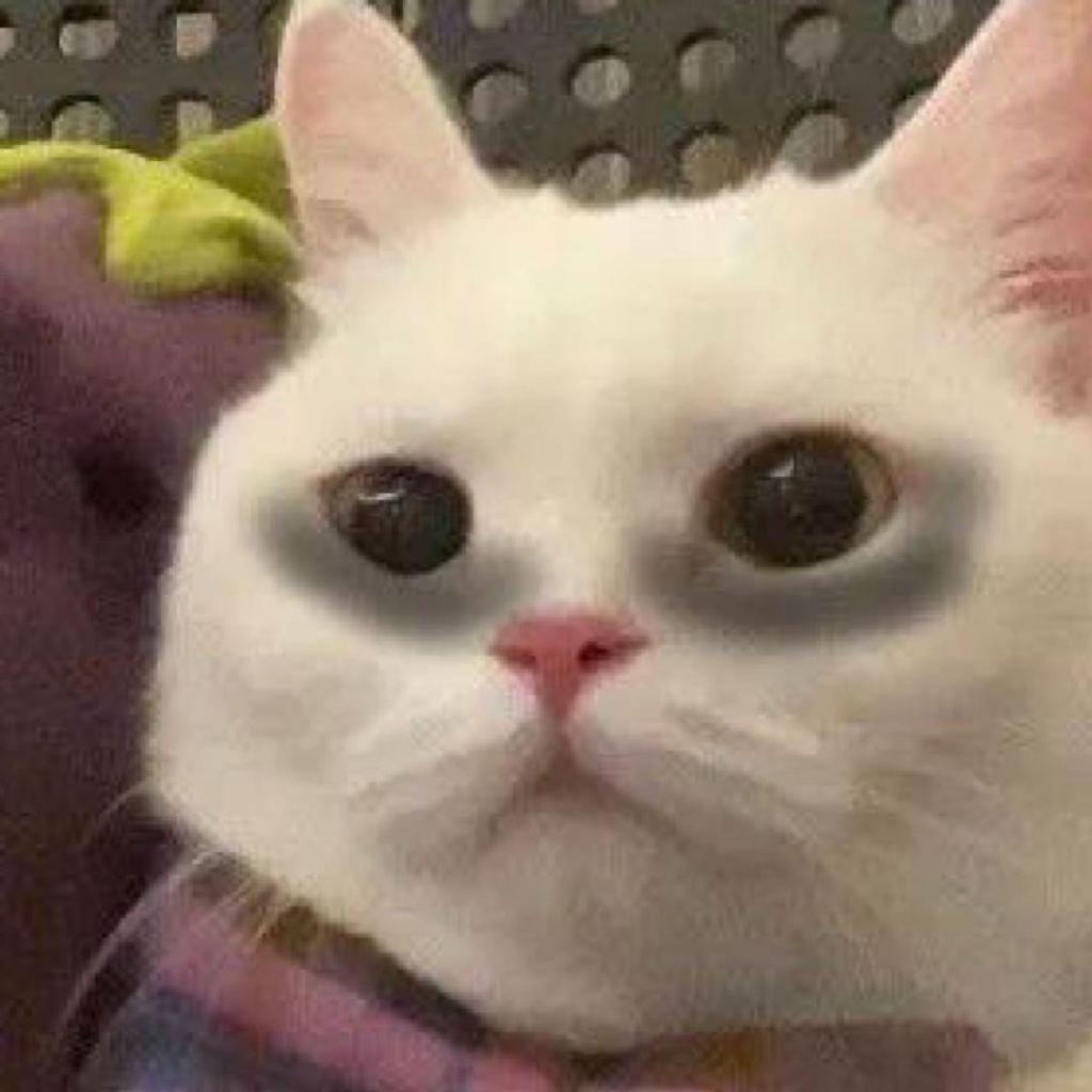 二流日报转发了