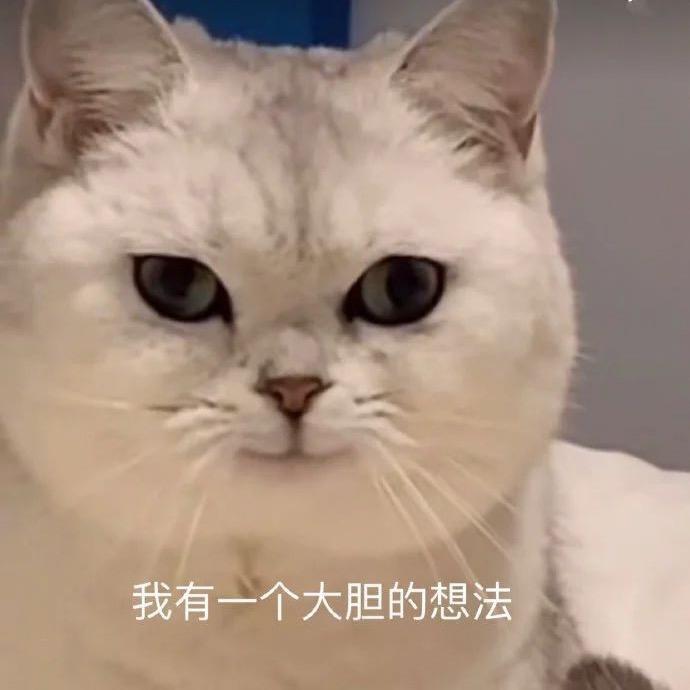 帅哥草上飞