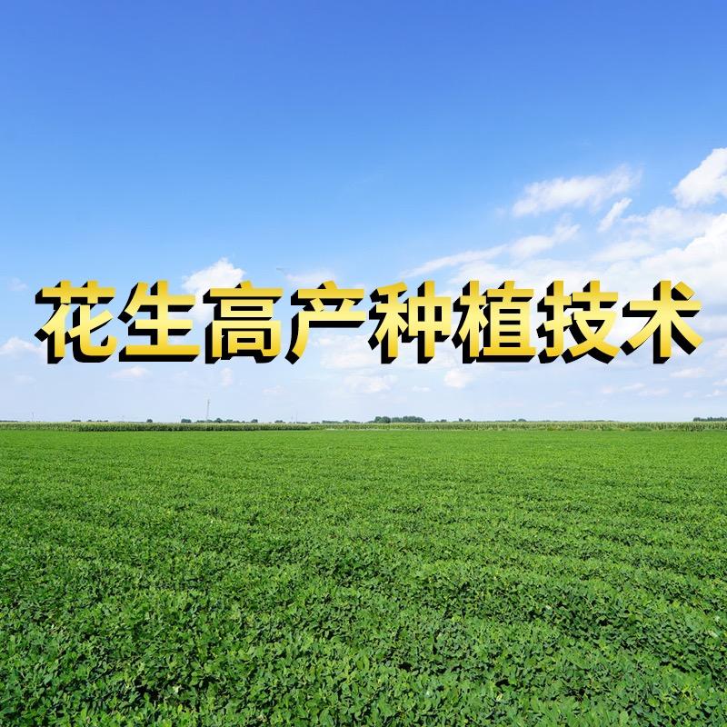 尖刀班农资供应链