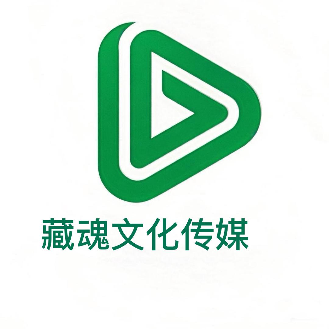 藏魂文化传媒