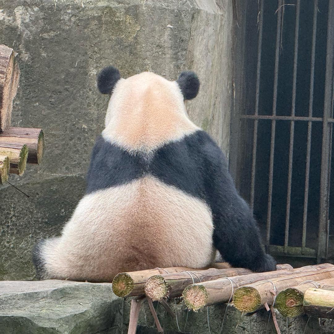 欣欣在南麂卖咖啡
