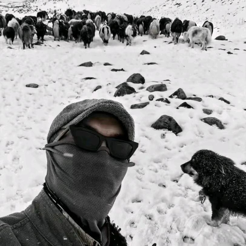 岗藏理发 西区店